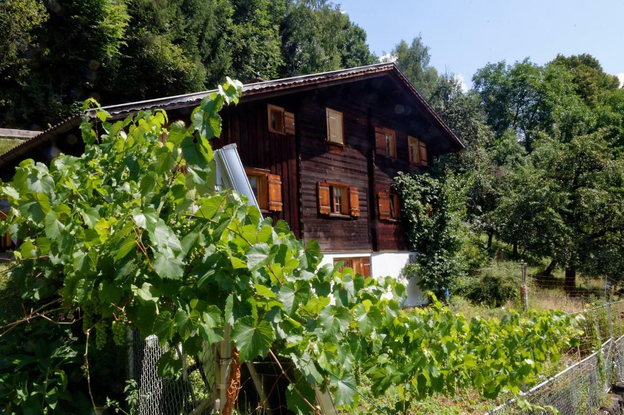 Landhaus Tenne Bartholomäberg Dış mekan fotoğraf
