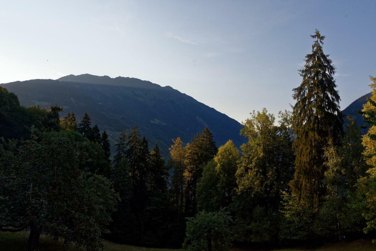 Landhaus Tenne Bartholomäberg Dış mekan fotoğraf