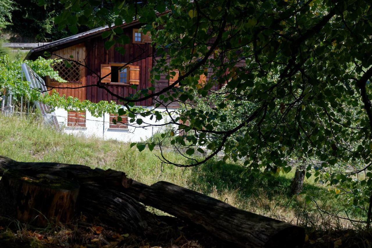 Landhaus Tenne Bartholomäberg Dış mekan fotoğraf