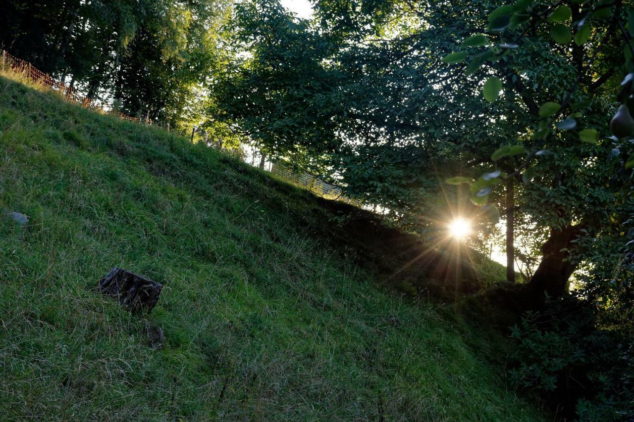 Landhaus Tenne Bartholomäberg Dış mekan fotoğraf
