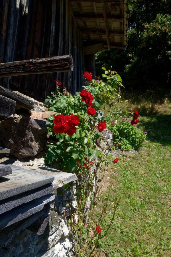 Landhaus Tenne Bartholomäberg Dış mekan fotoğraf