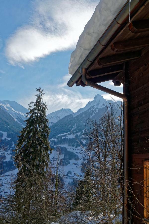 Landhaus Tenne Bartholomäberg Dış mekan fotoğraf