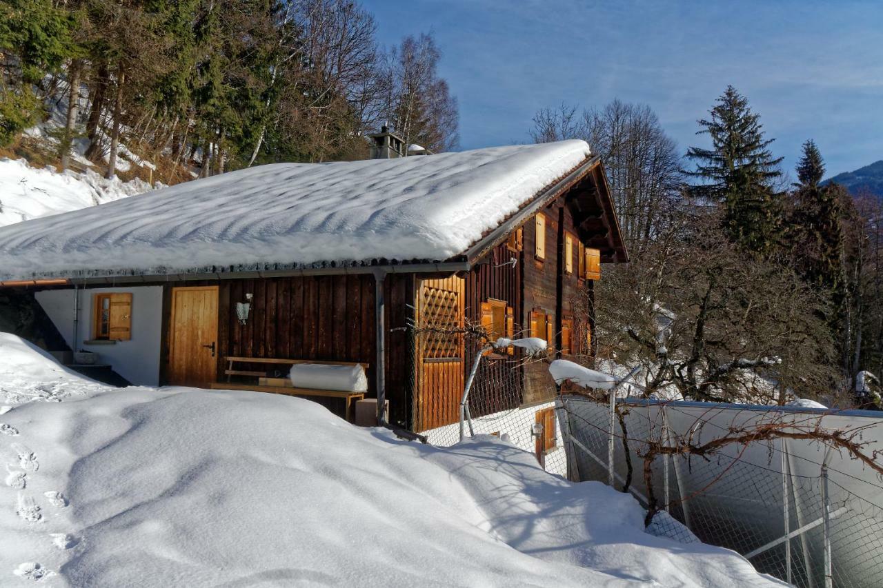 Landhaus Tenne Bartholomäberg Dış mekan fotoğraf